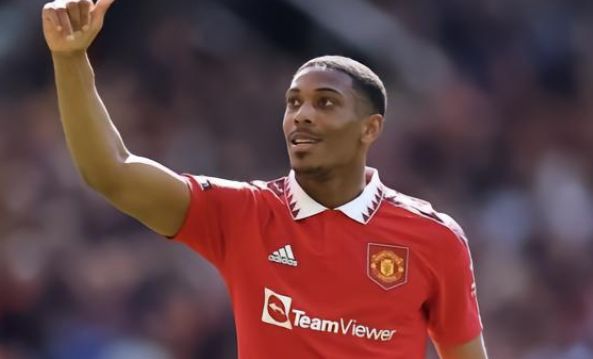 了新的发展 了新的发展